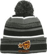Avon Grove New Era Sideline Beanie